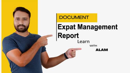 Expat Management Report Template