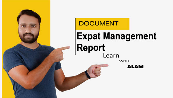Expat Management Report Template