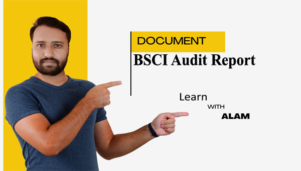 BSCI Audit Report