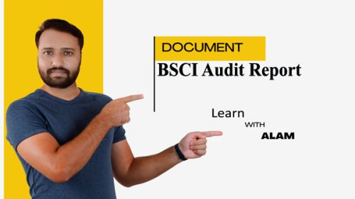 BSCI Audit Report Template